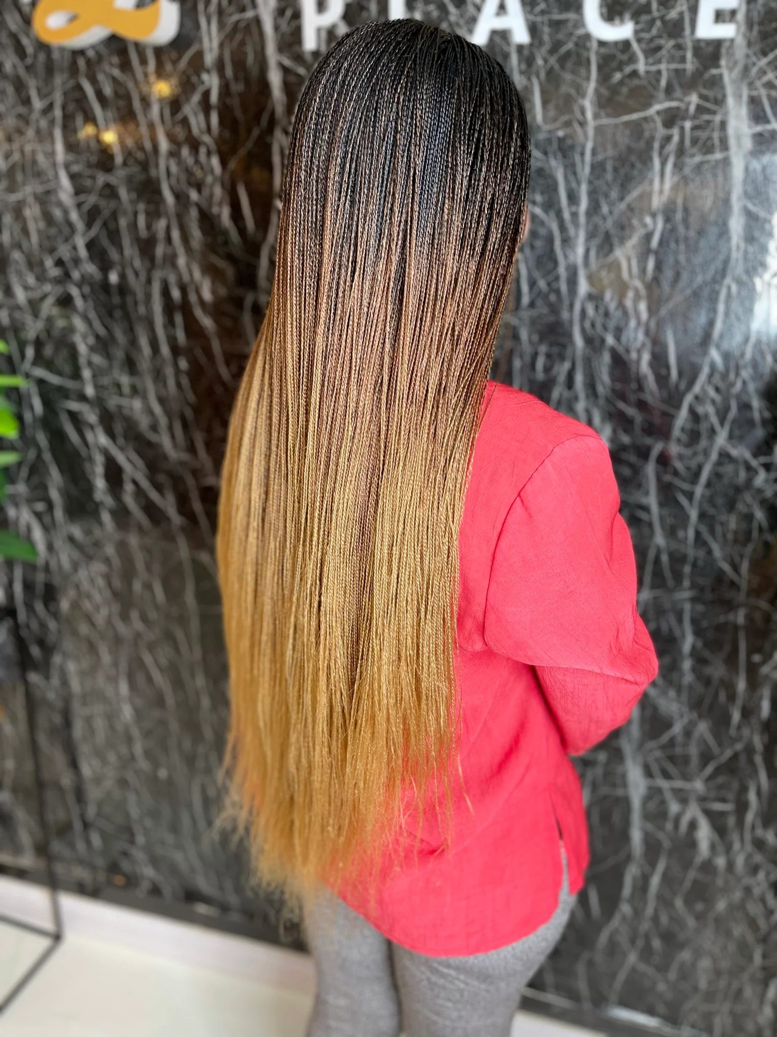 Ombre Micro Twist Braid Wig - Airhomei